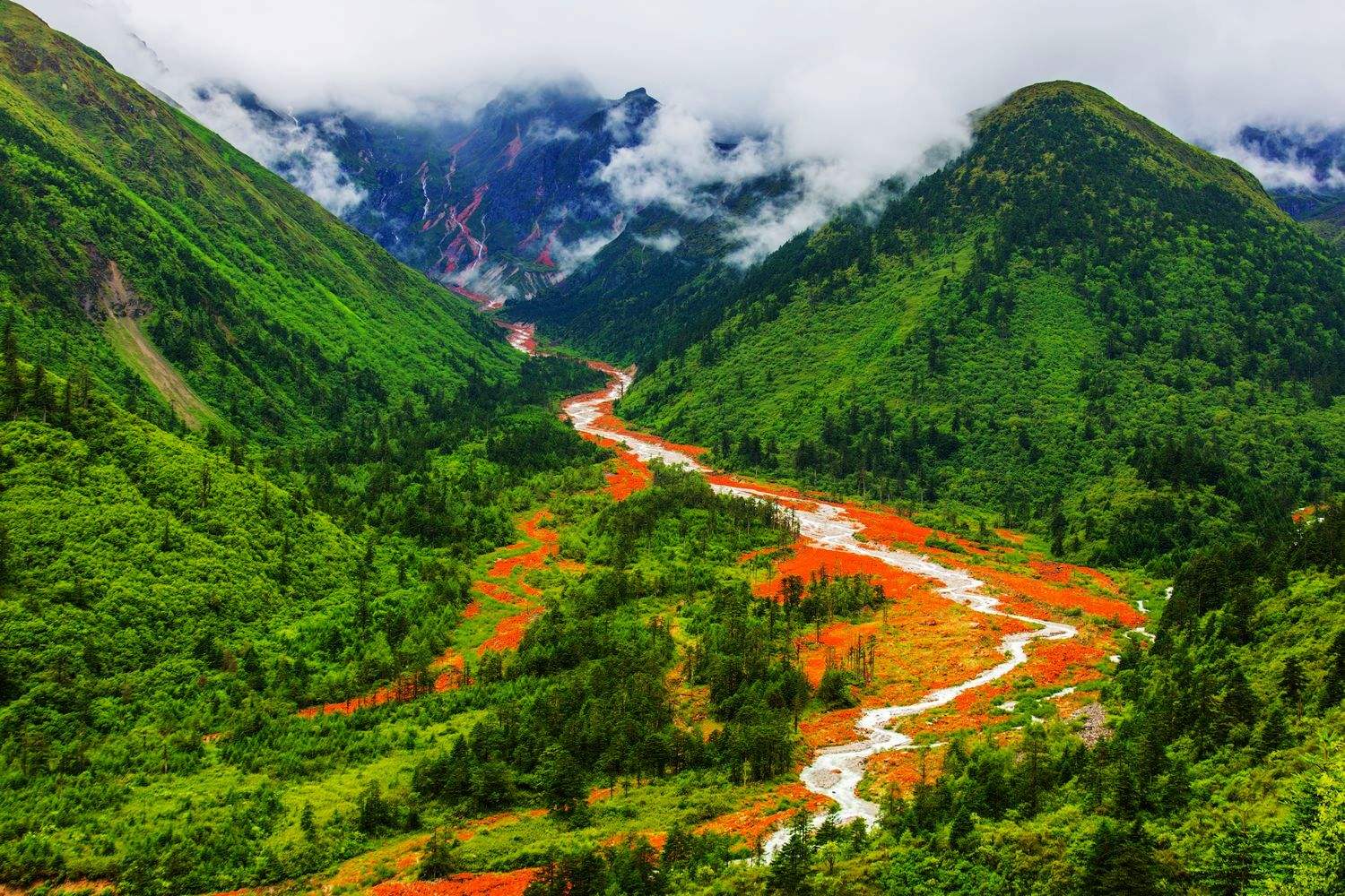 四川盛情邀请，致敬嘉宾与观众朋友们