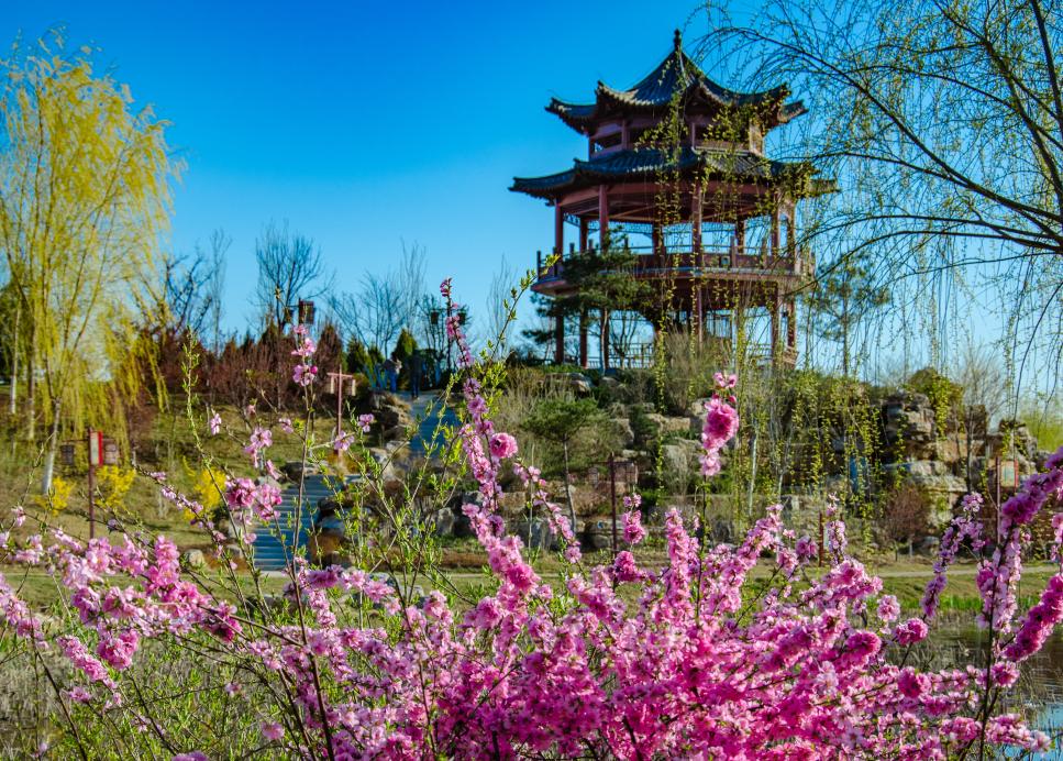 秦皇岛探秘记,小巷深处的独特风味之旅
