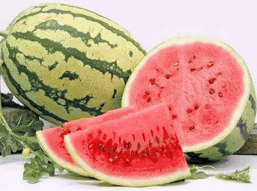 宁夏印象,探寻历史足迹,品味文化韵味,展望旅游新篇